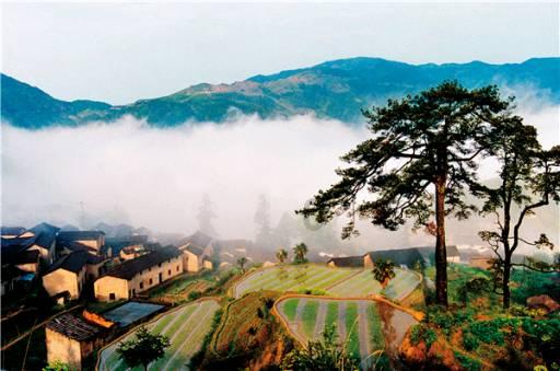 庚星股份：股东上海杰宇所持公司约1823万股解除司法冻结
