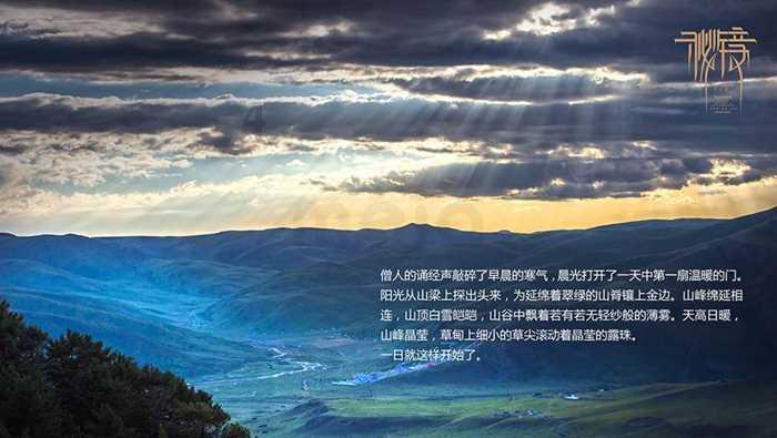 超能动物联盟